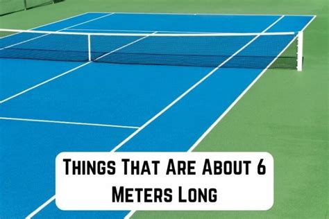 how long is 6 meters.